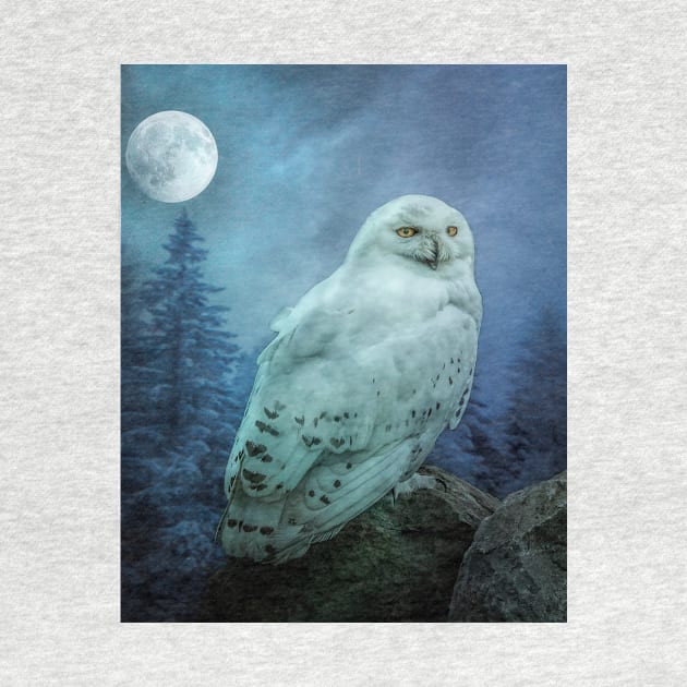 Moonlit Snowy owl by Tarrby